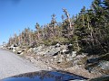 Mt Washington NH 2010 0225